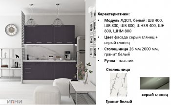 Кухонный гарнитур 2000 мм Агата (Игни) в Каменске-Уральском - kamensk-uralskij.mebel-e96.ru