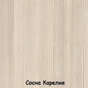 Шкаф 500 мм ДМ-03 Серия 2 (СВ) в Каменске-Уральском - kamensk-uralskij.mebel-e96.ru