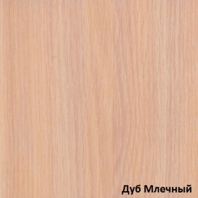 Шкаф-купе Рио 1-600 Амели (полки справа) в Каменске-Уральском - kamensk-uralskij.mebel-e96.ru